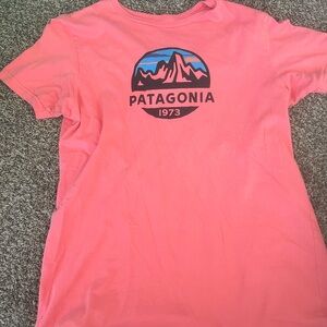 Patagonia Tee